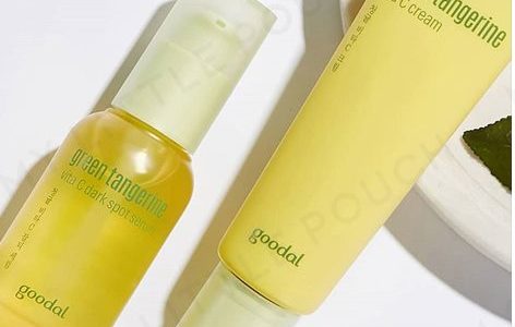 ゾウリムシとは？構造・特徴・増やし方を生物学の専門家がわかりやすく解説