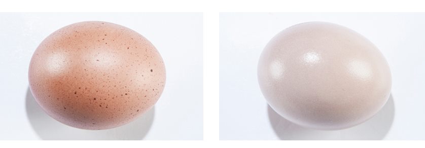 INTJ-T（建築家・慎重型）の性格特徴｜-Aとの違いや強み、生きづらさの解消法を徹底解説