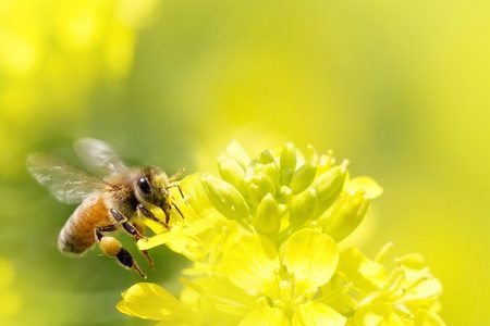 「係る（かかる）」の意味と使い方は？ビジネス・公用文での正しい使い分けを解説