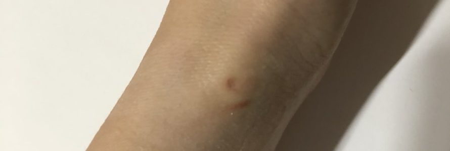 広島の新決済「モビリーデイズ」とは？PASPY終了後の使い方・メリットを徹底解説