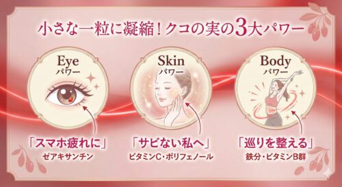 クコの実は「食べる目薬」？1日20粒で変わる美容習慣【薬膳のプロが解説】