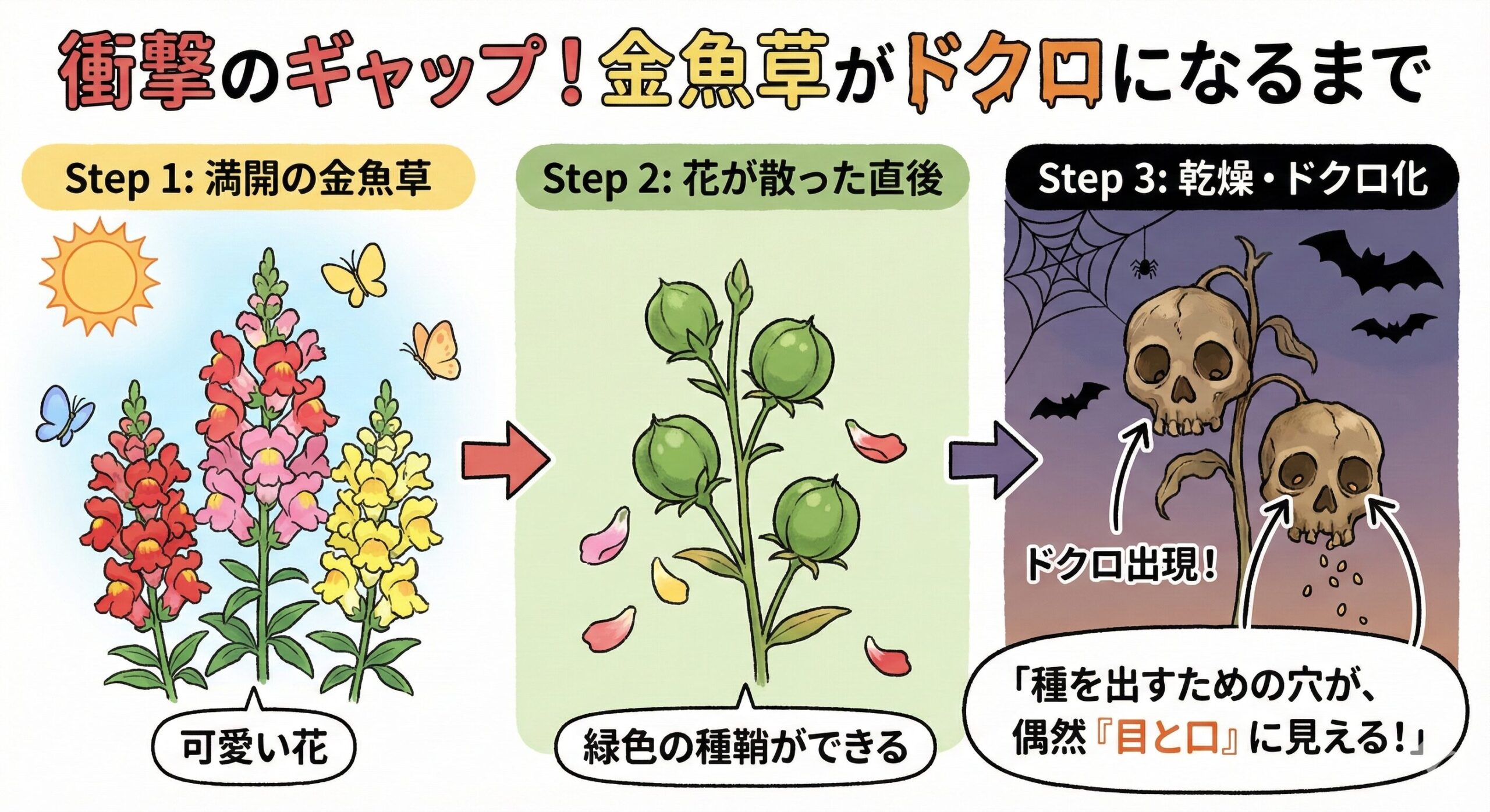 金魚草（キンギョソウ）の育て方｜可愛い花には「ドクロ」がある？ 意外な二面性と長く咲かせるコツ