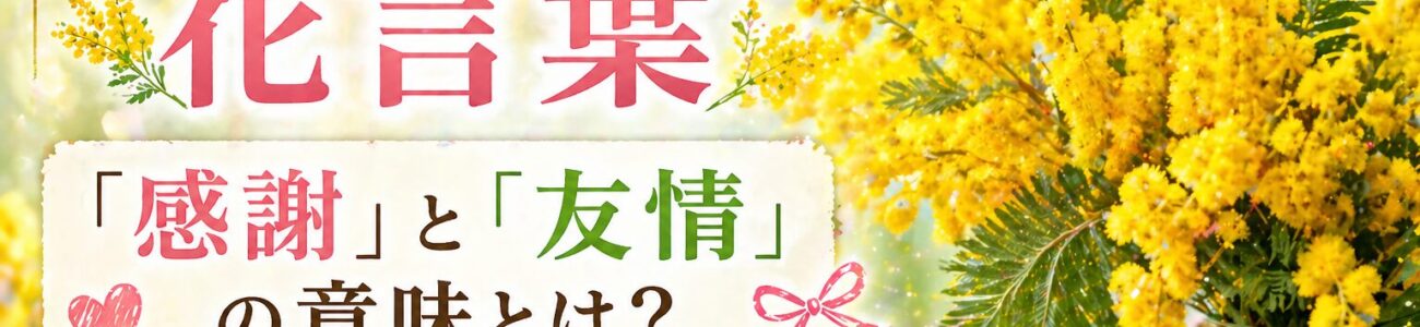 ミモザの花言葉は「感謝」と「友情」。色で変わる意味と3月8日ミモザの日の贈り方