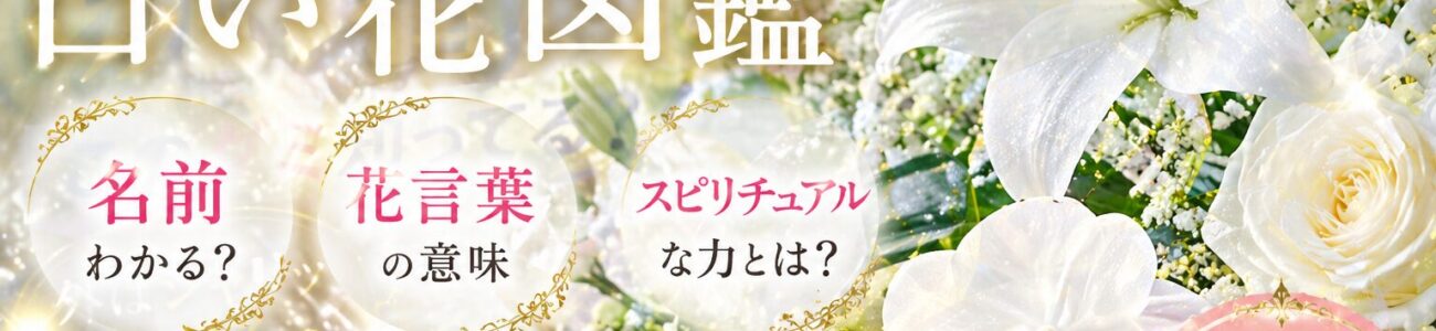 【白い花図鑑】名前と花言葉、スピリチュアルな意味まで完全網羅！庭木やギフトの選び方も