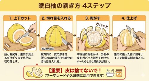 世界最大の柑橘「晩白柚（ばんぺいゆ）」の楽しみ方｜剥き方から皮のレシピまで完全ガイド