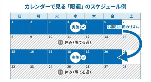 隔週(かくしゅう)とは?意味・数え方・「週2回」との違いをプロが徹底解説