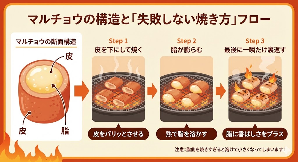 マルチョウとは?部位の特徴から失敗しない焼き方、コプチャンとの違いを徹底解説