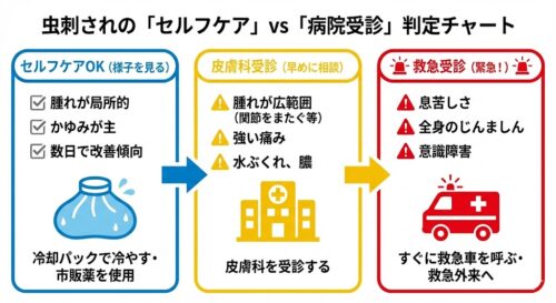 虫刺されの腫れがひどい時の対処法｜受診の目安と原因別の症状を徹底解説